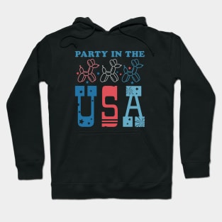 4ht of july Hoodie